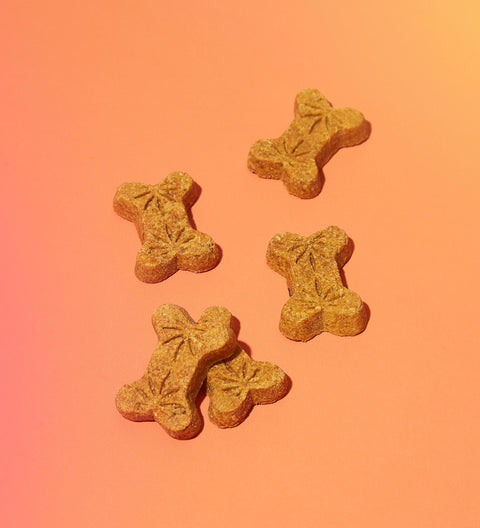 Lifestyle image of CBD dog treats