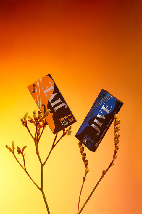 Lifestyle image of CBD products and plants suspended in air, orange and pink background