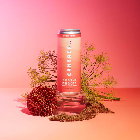 Lifestyle image of a CBD beverage and decorative plants