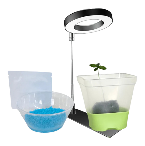 My Budee Home Grow Kit